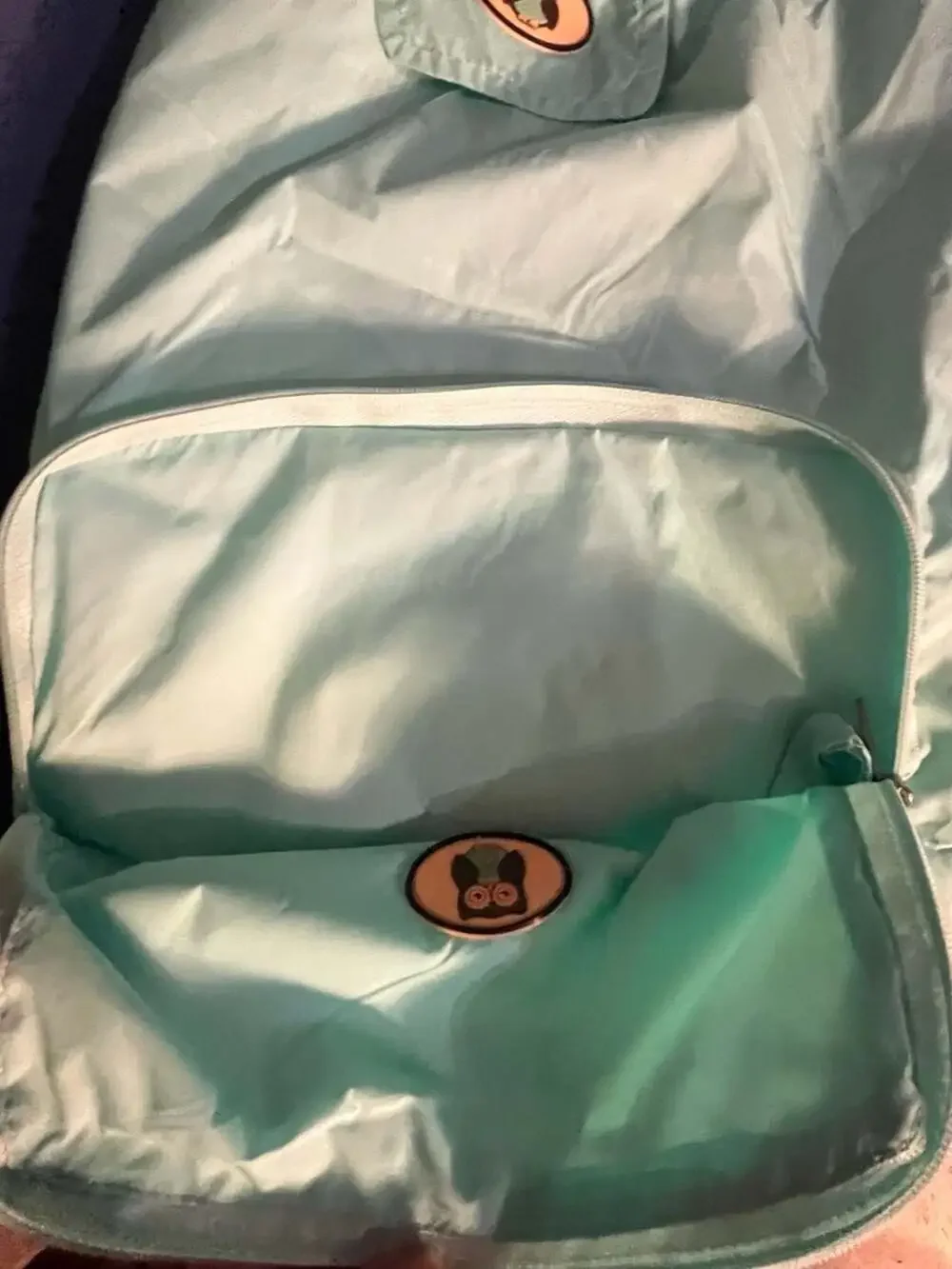 Zach & Zoey Mint Hooded Dog Raincoat With Pocket 003-031
